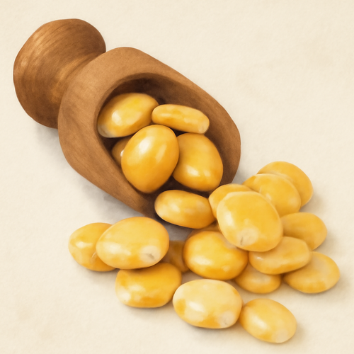 루피니빈 효능과 부작용, 당뇨콩의 놀라운 효과와 먹는법1