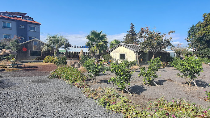 연예인이 운영하는, 연예인 맛집 추천 (2편)