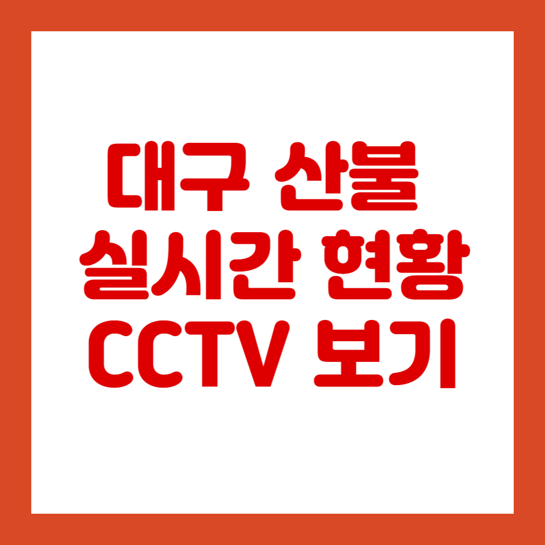 대구 산불 현황 실시간