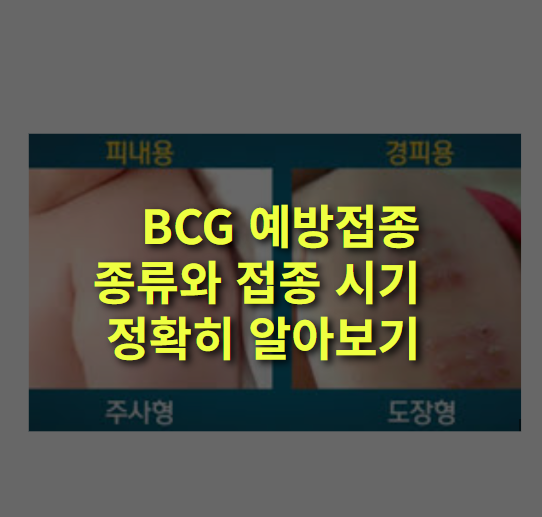 BCG 예방접종이란? 경피용, 피내용, 신생아 결핵, 종류, 접종 시기, 방법.