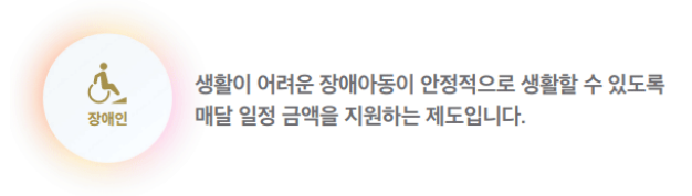 장애아동수당