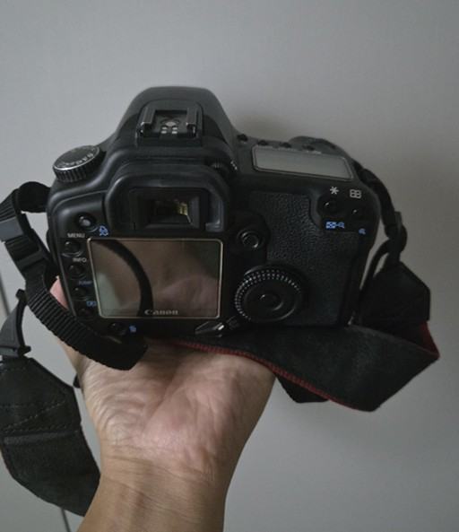 EOS 30D 가이드북에서 배운 ‘화이트 톤 재현’이 주는 사진의 정직함