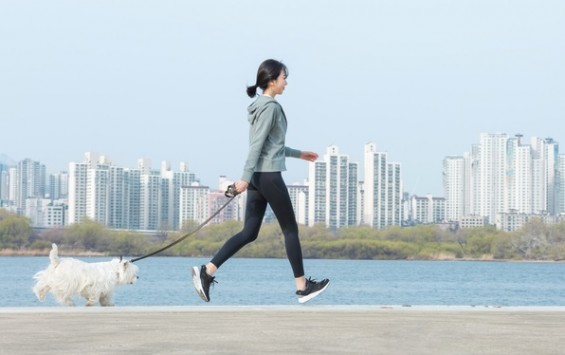 손목닥터 9988 회원가입 신청