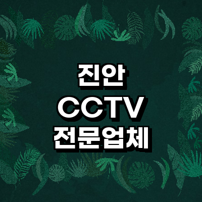 진안군 cctv