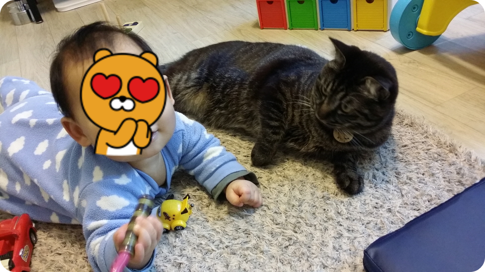 아기와 고양이는 좋은 친구다.