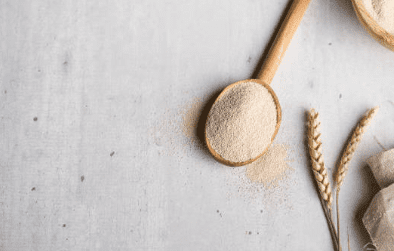 맥주효모의 효능