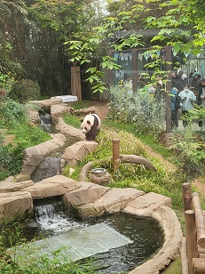 에버랜드 스마트줄서기