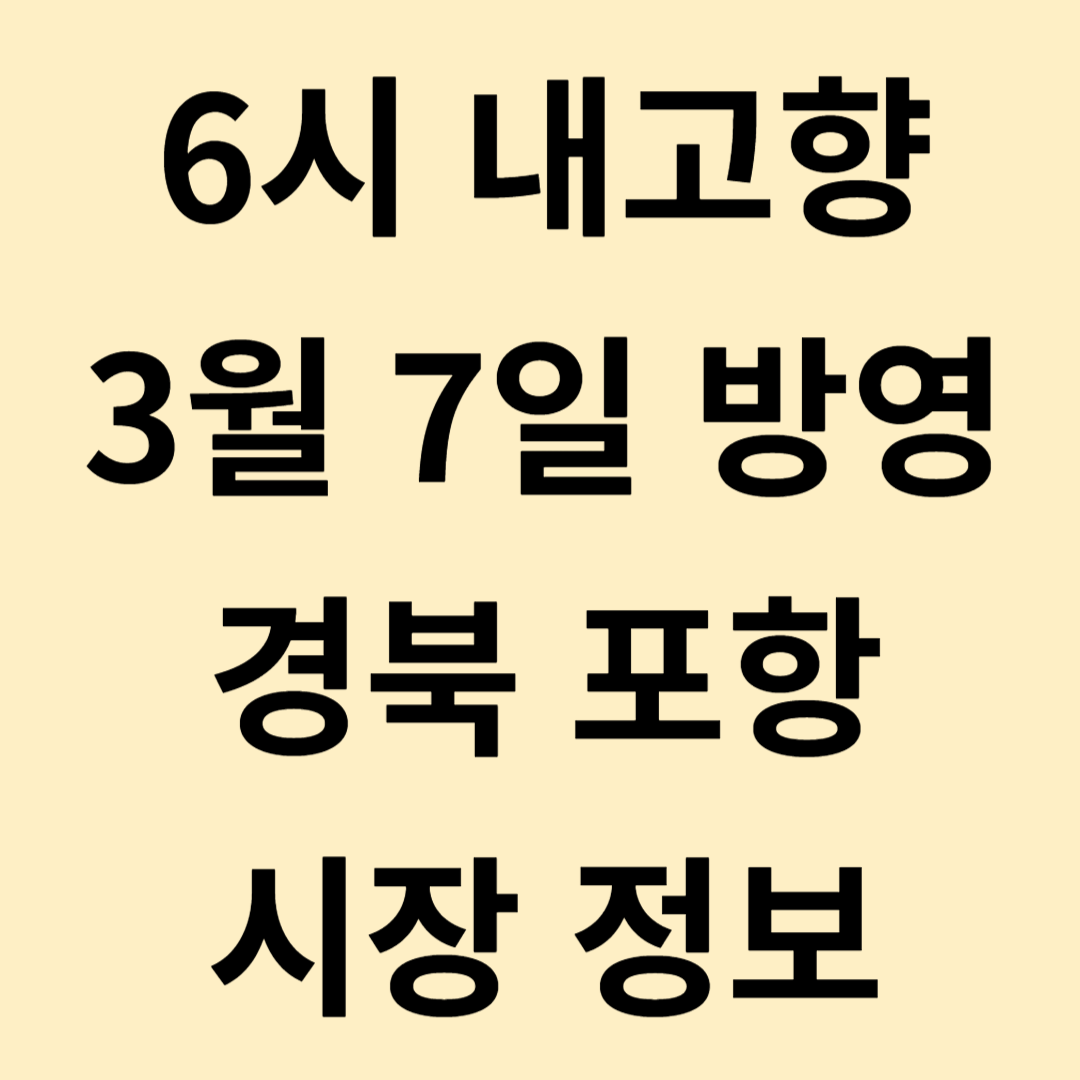 6시 내고향 3월 7일 방영 경북 포항 시장