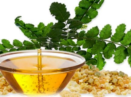 보스웰리아 효능