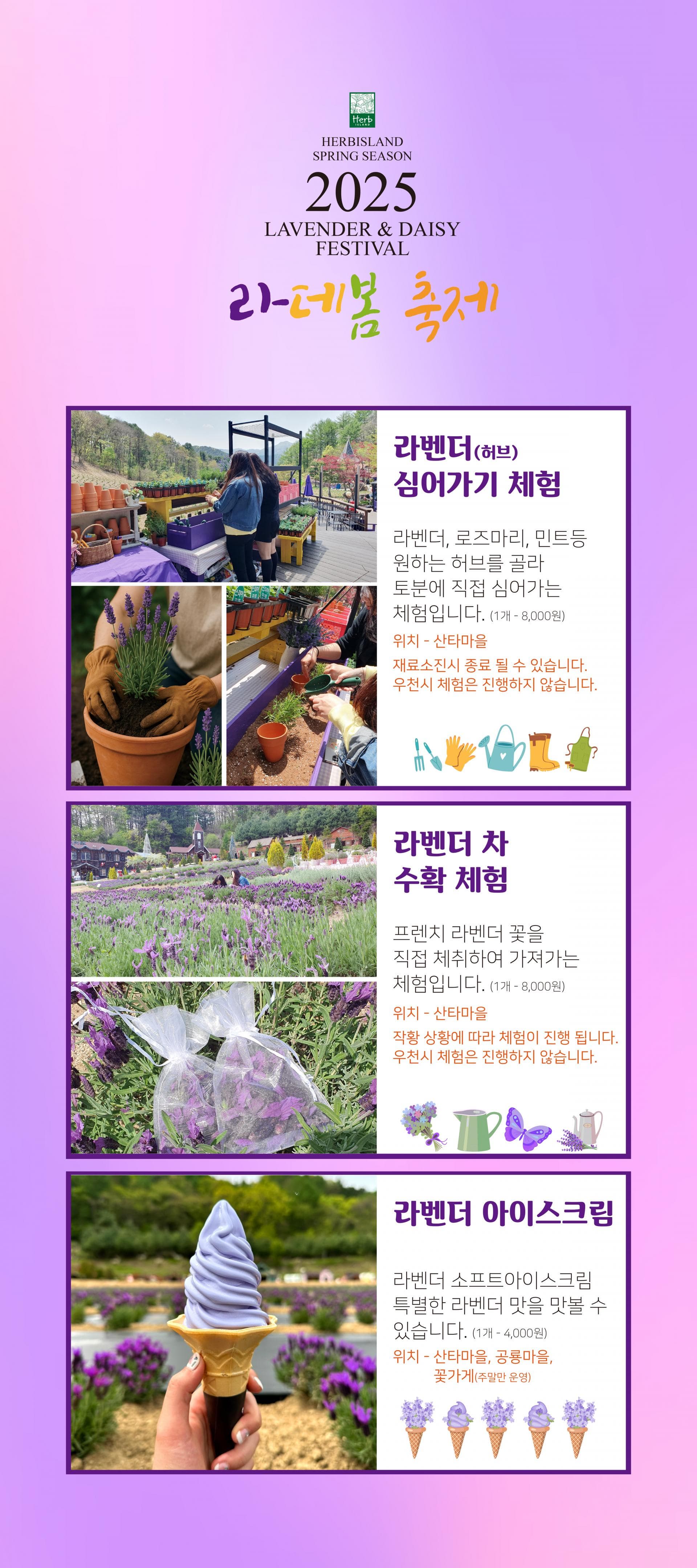 허브아일랜드 '라 데 봄 축제' 개막! 아이와 함께 눈썰매도 타요🌸
