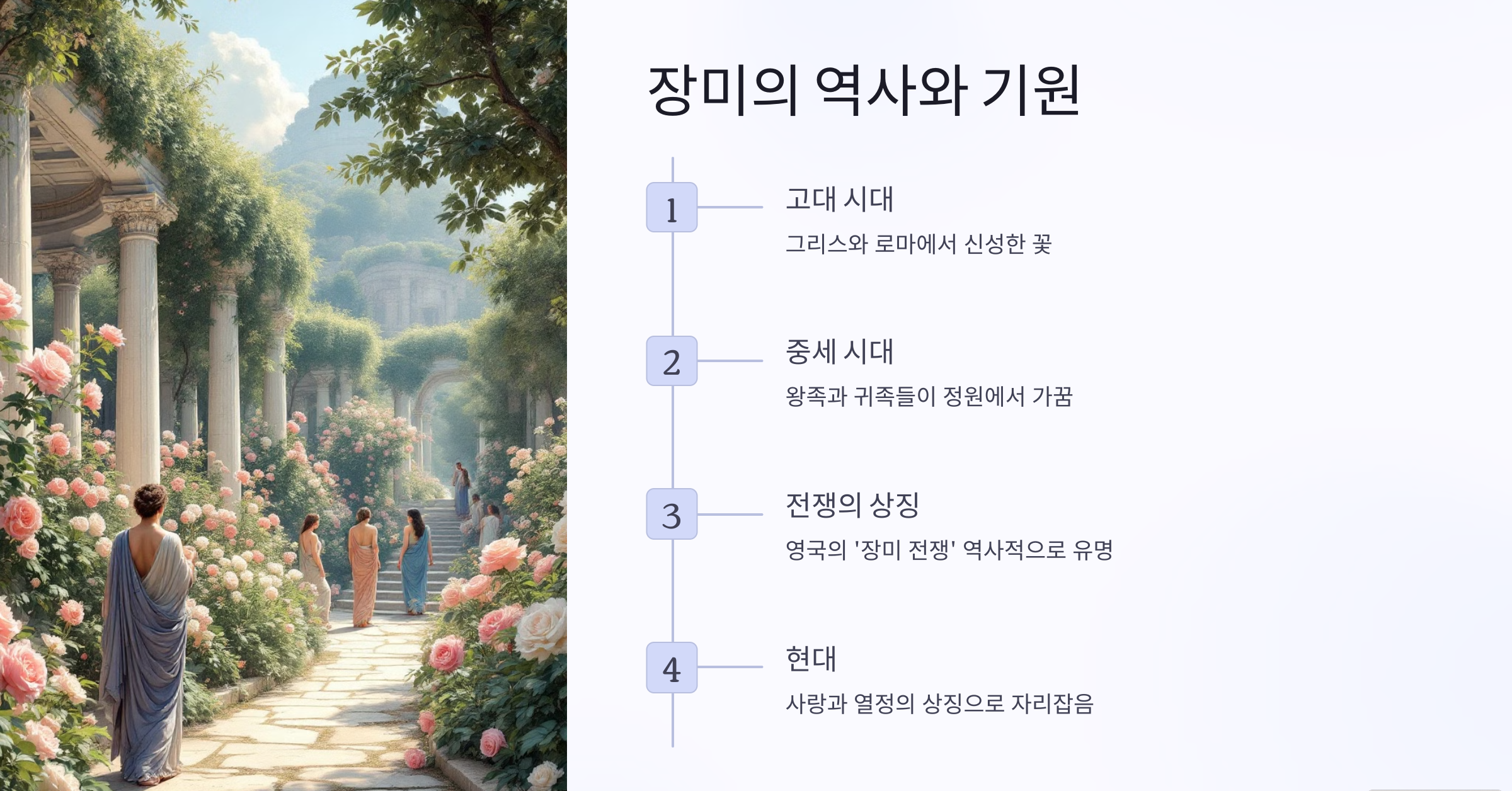 장미의 역사와 기원 사진