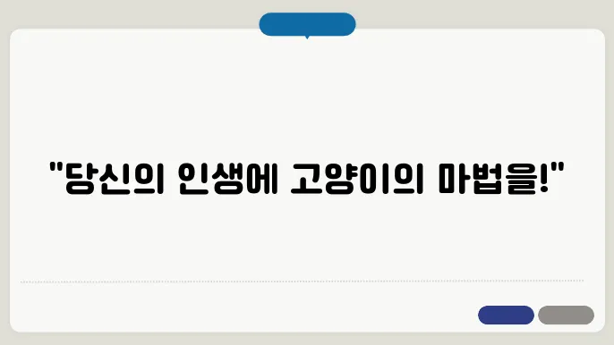 반려동물 고양이 입양 고려사항