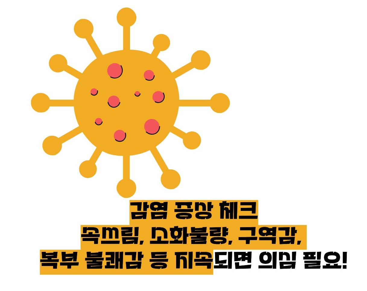 헬리코박터균 제균치료