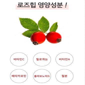 로즈힙퓨레