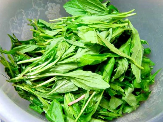 쑥부쟁이 나물 맛있게 무쳐 먹는 방법