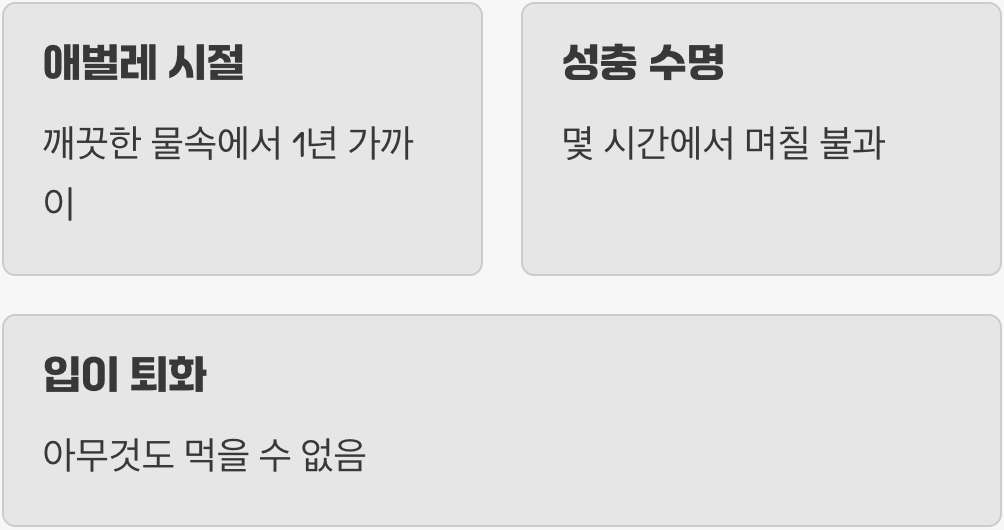 단 하루의 삶&amp;#44; 슬픈 운명