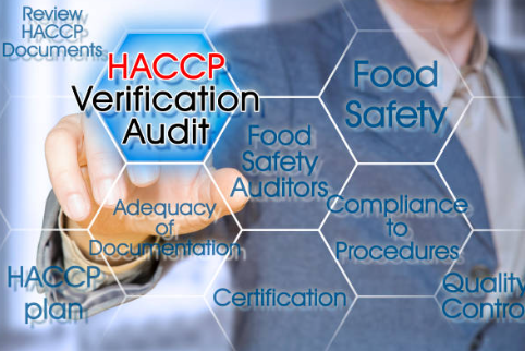 HACCP-Food Safety-Culinary World