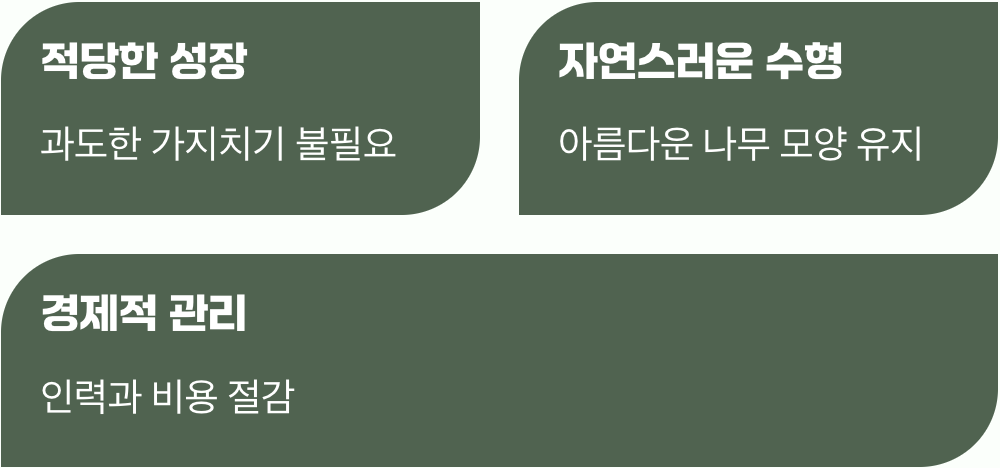 손이 덜 가는 착한 가로수