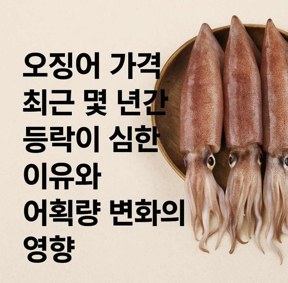오징어 가격 최근 몇 년간 등락이 심한 이유와 어획량 변화의 영향