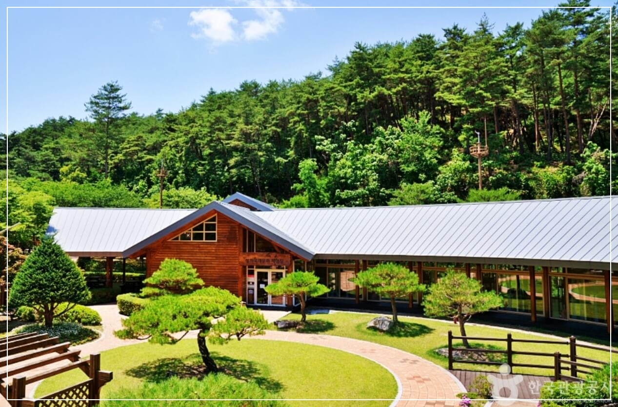 봉화 가볼만한곳 베스트10 목재문화체험장