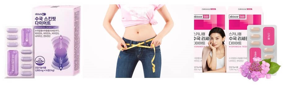 수국잎 추출물_체지방 감소