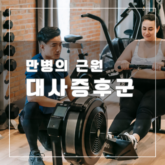 만병의 근원 대사증후군