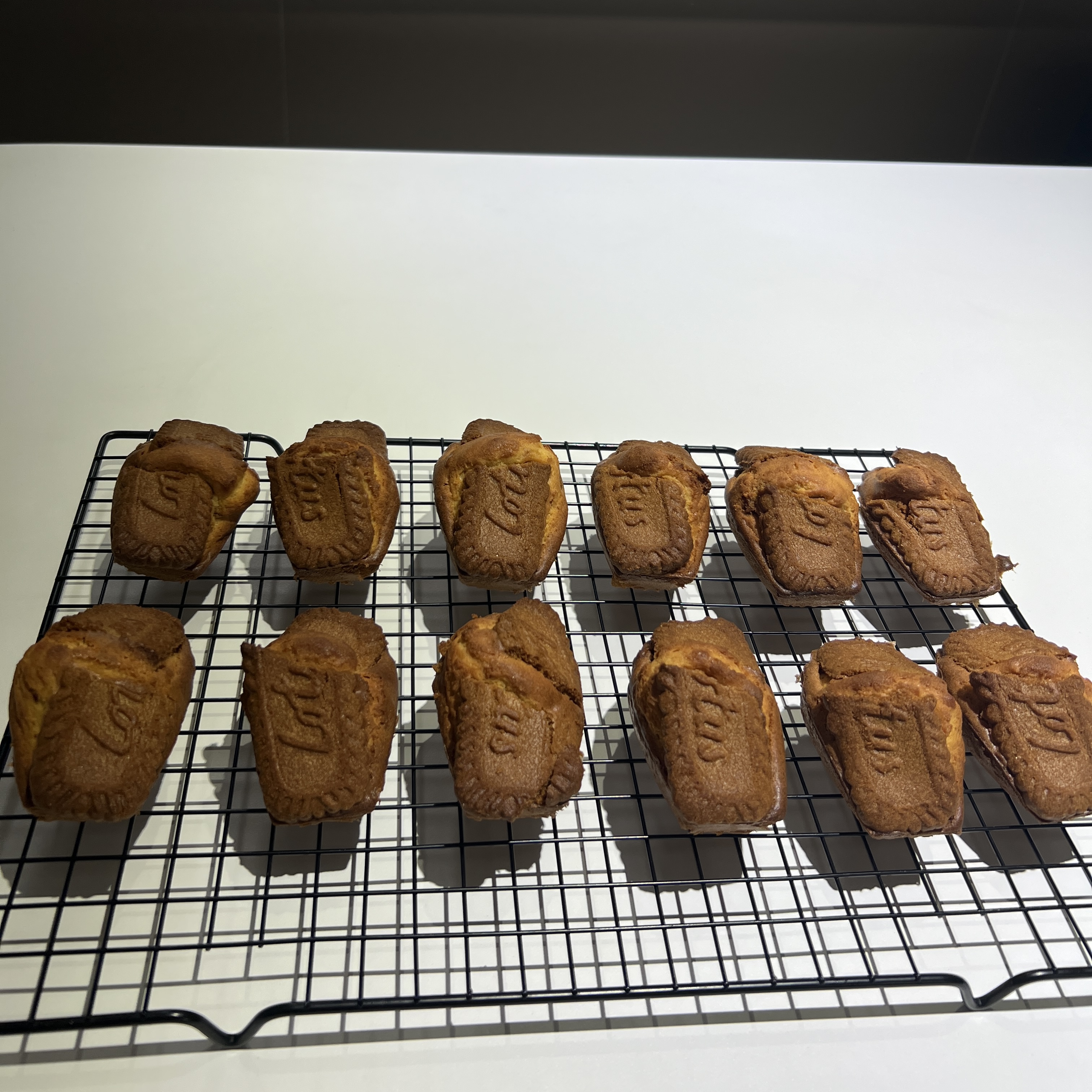 완성된 로투스 마들렌