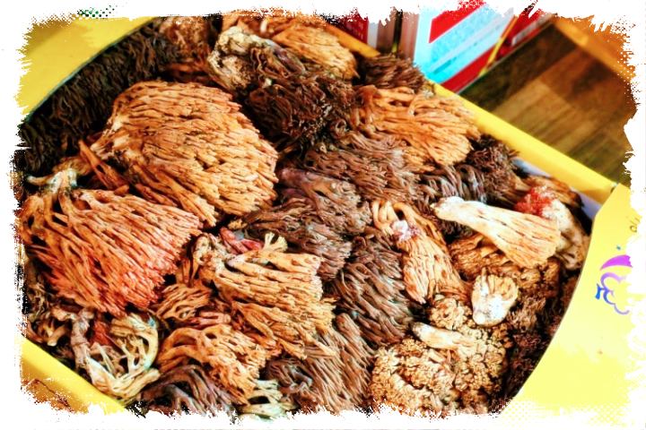 생생정보-제1455회-자연산-능이-버섯-전골-충북-영동-맛집-위치-04