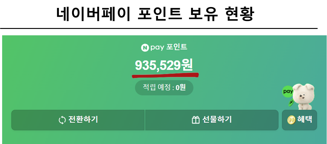 네이버페이 포인트 보유 현황