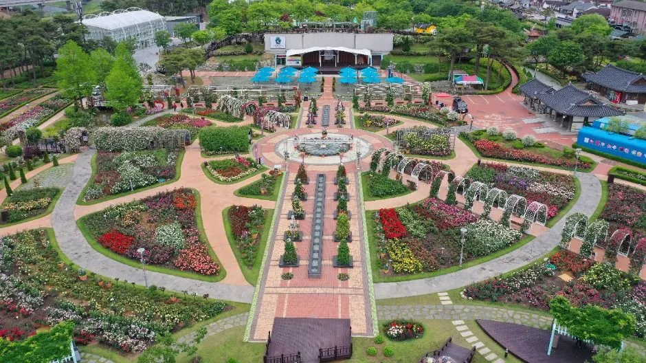 오늘이 아니라면 최적의 개화 시기는 언제인지 곡성세계장미축제에서 확인하세요_1