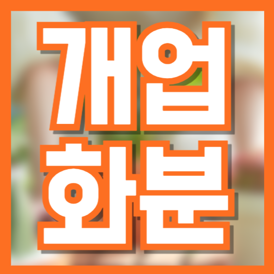 개업 화분 추천! 인기 식물 종류부터 센스 있는 문구까지