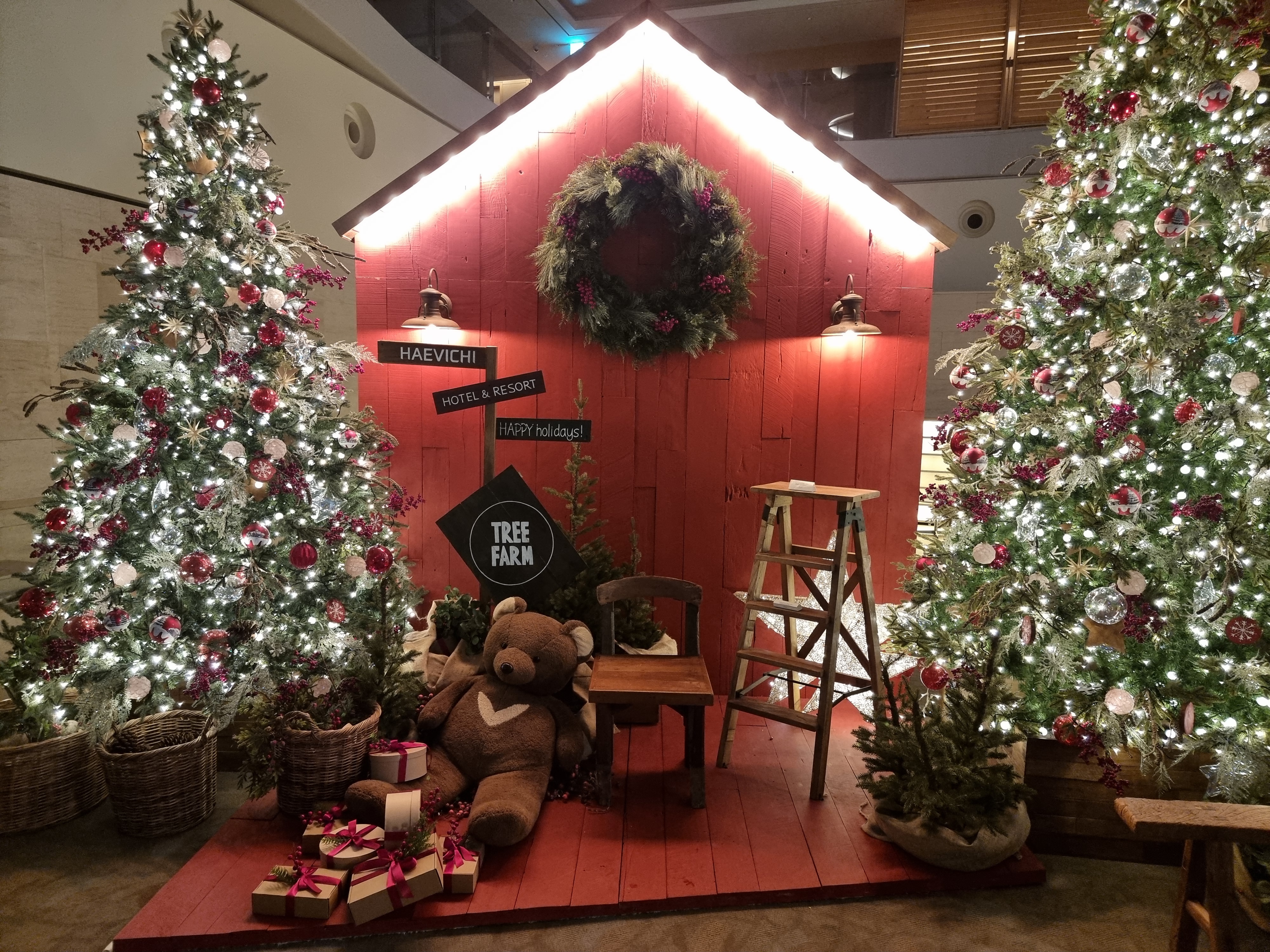 제주 해비치호텔의 크리스마스 트리와 곰돌이