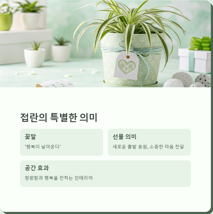 접란