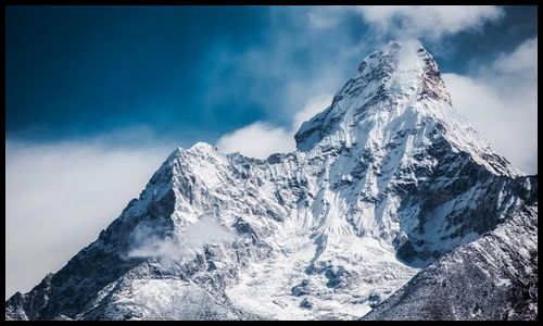 아르기닌 효능 알아보기3
