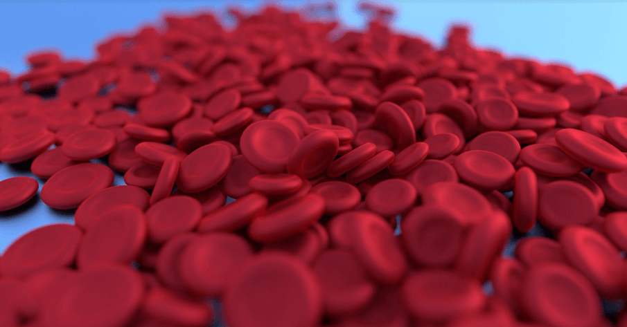 꼬막 효능은 빈혈 및 혈관이 좋다