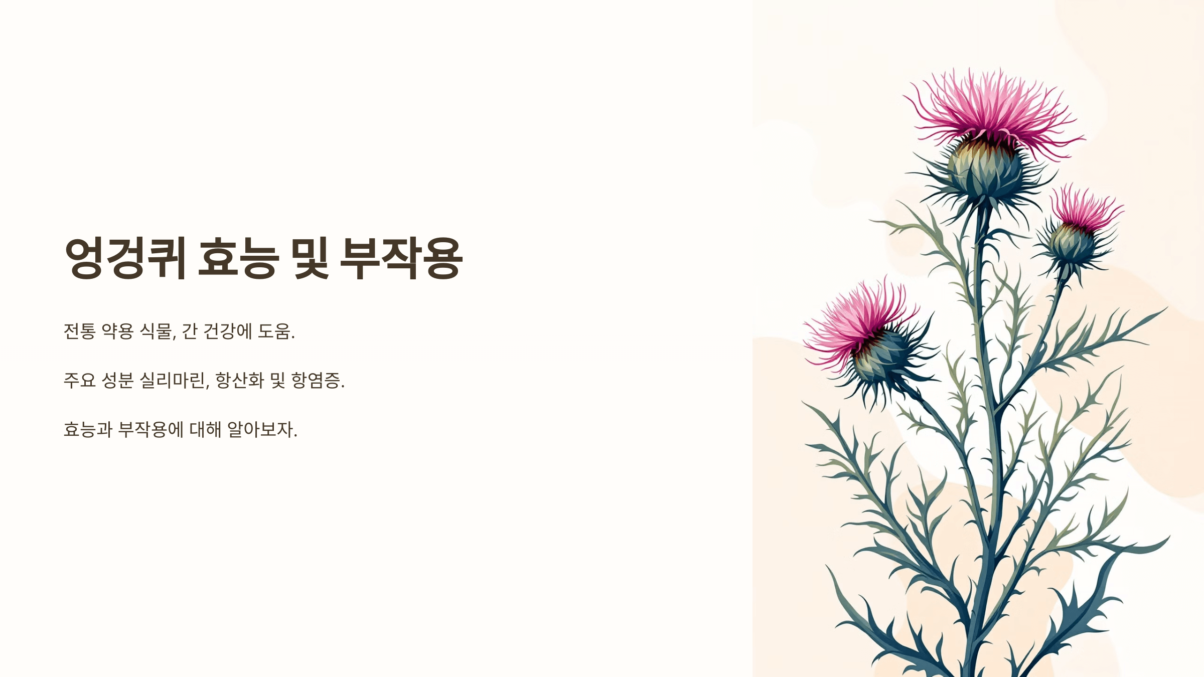 엉겅퀴와 관련된 사진입니다.