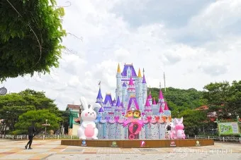 5월 대전 꼭 가볼 만한 여행지 화려한 장미꽃으로 물든 한밭수목원_11