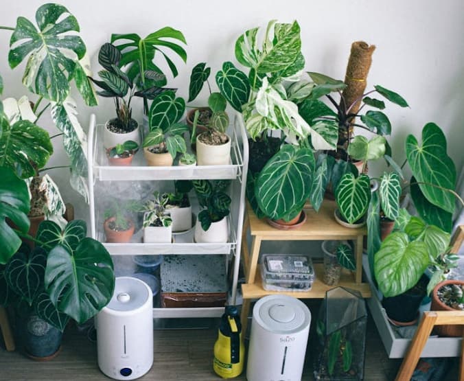 면역력과 체내 산소량