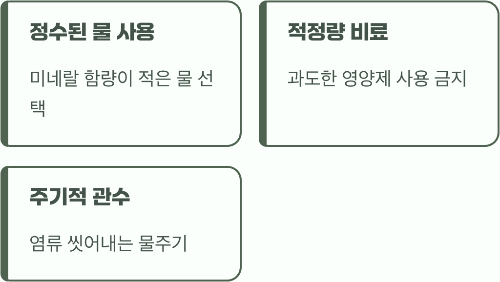 백화 현상, 미리 예방할 수는 없을까?