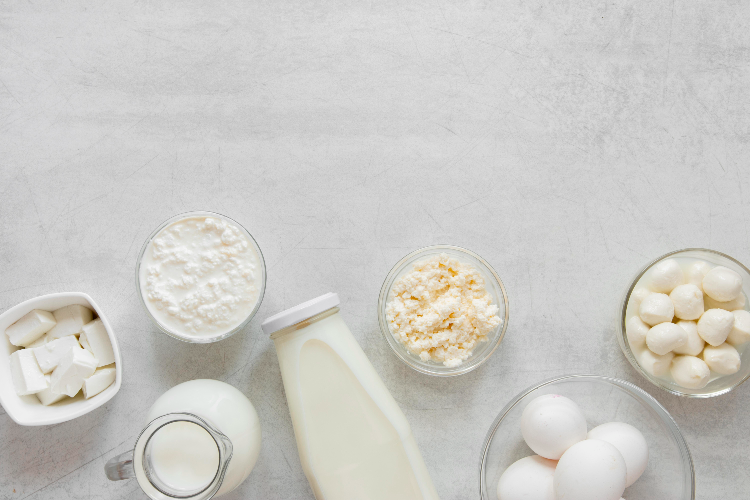 유청 단백질 특징