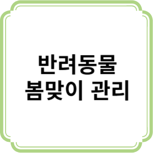 반려동물 봄맞이 미용하고 피부와 털 관리 하는 법!