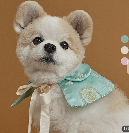 도그아이 리본 끈 한복 케이프