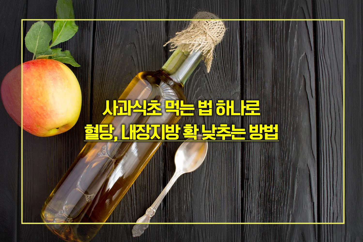 사과식초-혈당-내장지방-식욕억제-효능