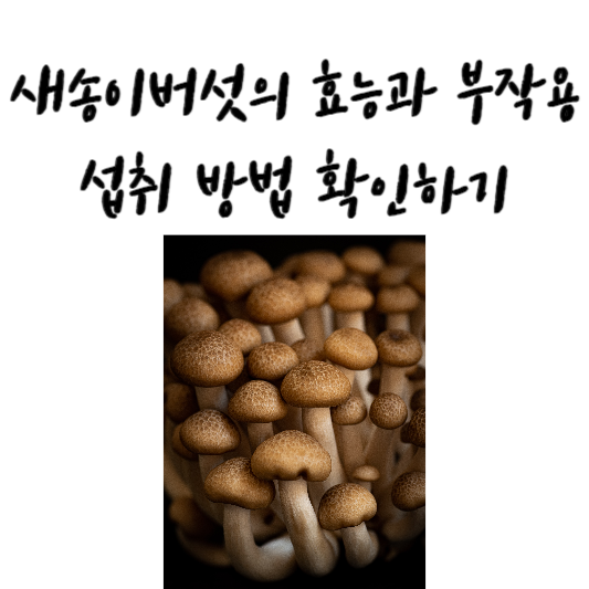 새송이버섯의 효능과 부작용, 섭취 방법
