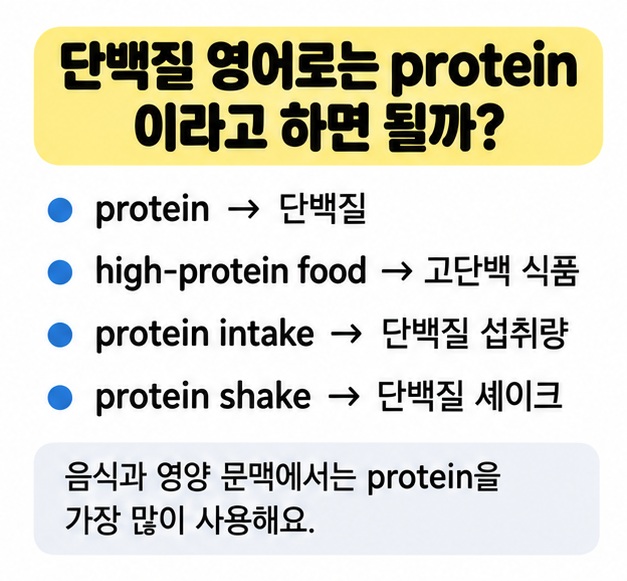 단백질 영어 표현 protein과 high-protein food를 정리한 카드