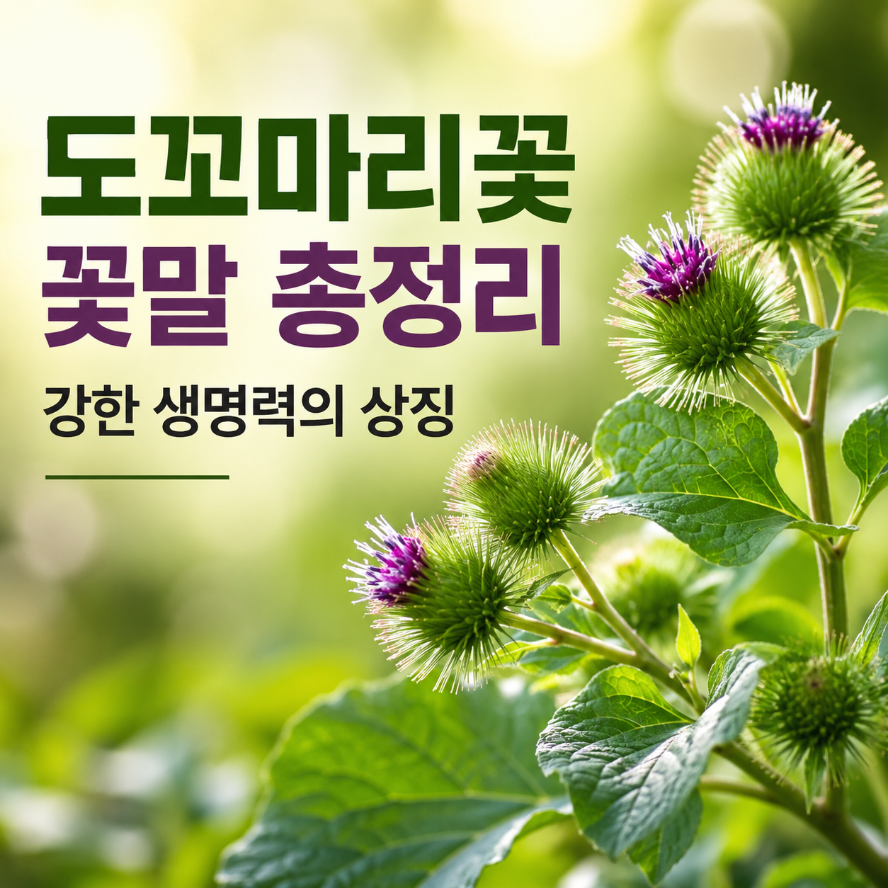 도꼬마리꽃 꽃말