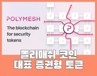 폴리매쉬