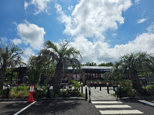 제주 금악 스타벅스 외부 모습. 하늘은 푸르고 앞도 푸르다. 나무가 있다.