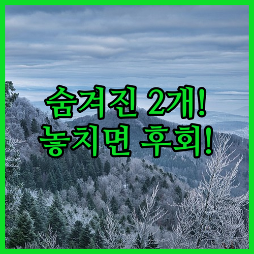 샹젤리제 루브르 사이에 숨은 파리 개..