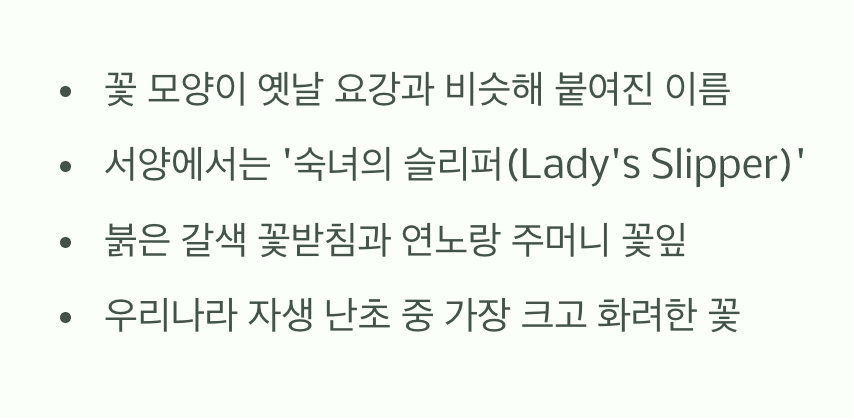 '요강'을 닮은 특별한 이름